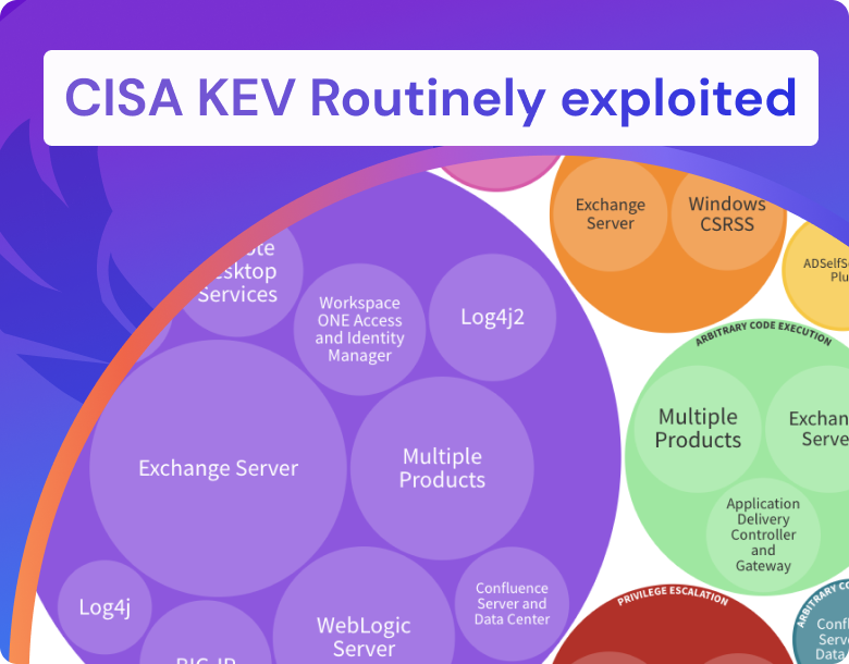 CISA, CISA KEV, Application Security Application security program Vulnerability management CWE, ransomware